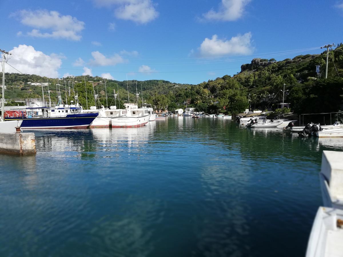 Anse Goeland विला